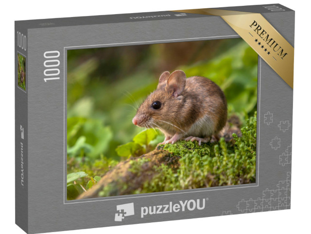 Puzzle 1000 pezzi „Un simpatico topolino della foresta“