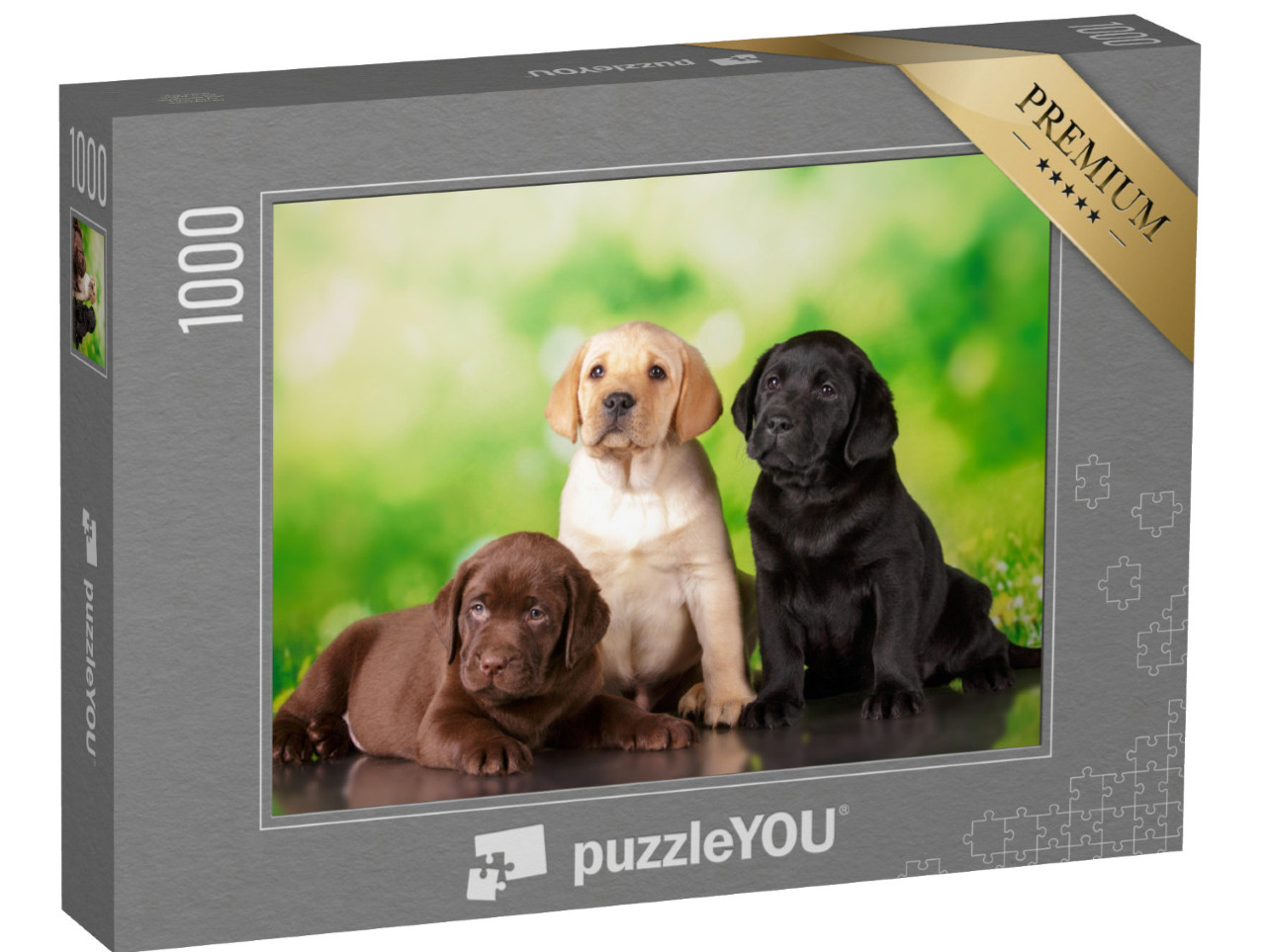 Puzzle 1000 pezzi „Tripla tenerezza: un cucciolo di Labrador marrone, uno dorato e uno nero“