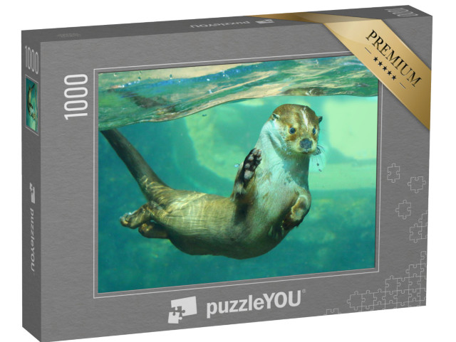 Puzzle 1000 pezzi „La lontra europea sott'acqua“