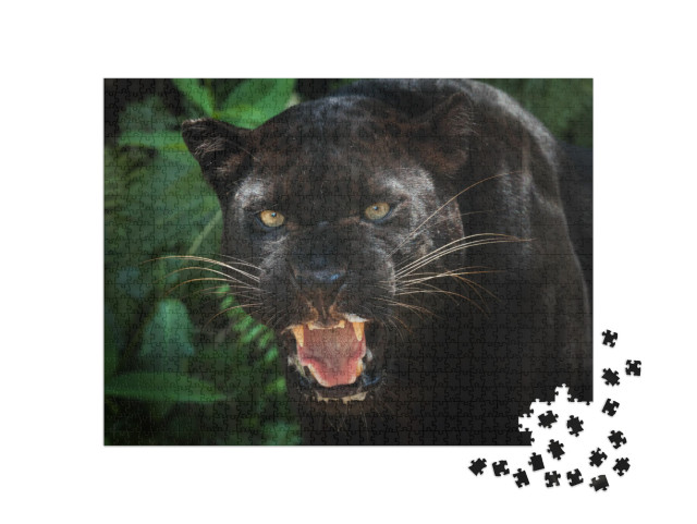 Puzzle 1000 pezzi „Pantera Nera“