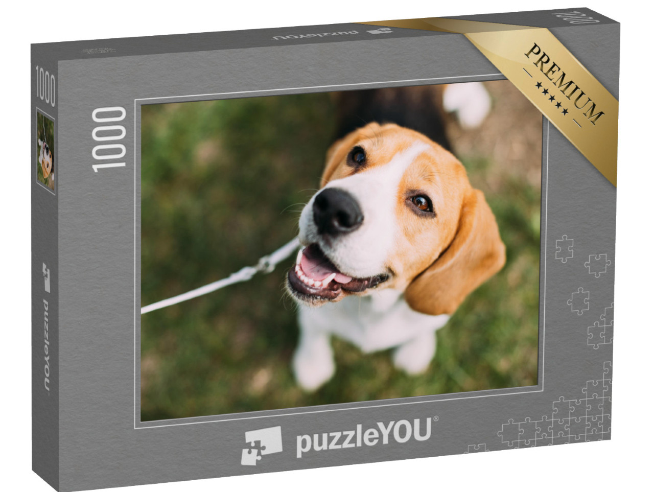 Puzzle 1000 pezzi „Un cucciolo di beagle sull'erba“