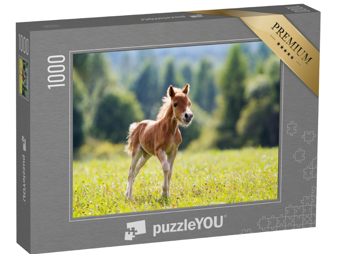 Puzzle 1000 pezzi „Falabella mini pony“