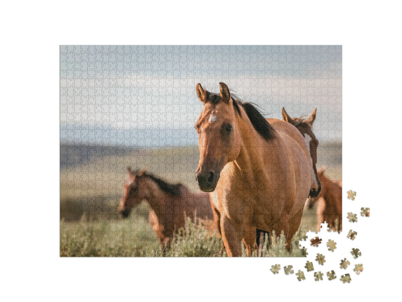 Puzzle 1000 pezzi „Cavalli American Quarter Horse Ranch nel Wyoming, USA“