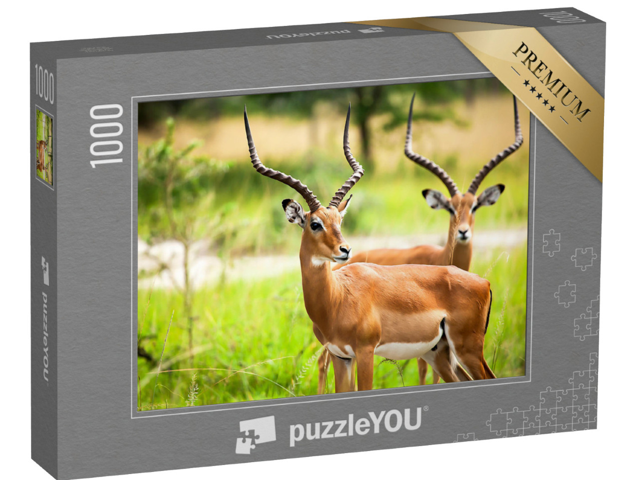 Puzzle 1000 pezzi „Antilopi Impala in libertà in Uganda“