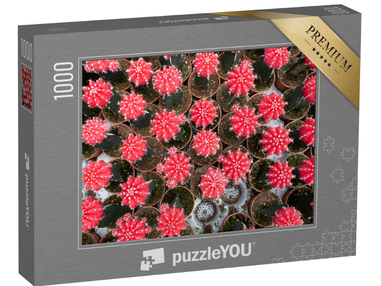 Puzzle 1000 pezzi „Tanti piccoli vasi con cactus lunari da un'incantevole vista a volo d'uccello“
