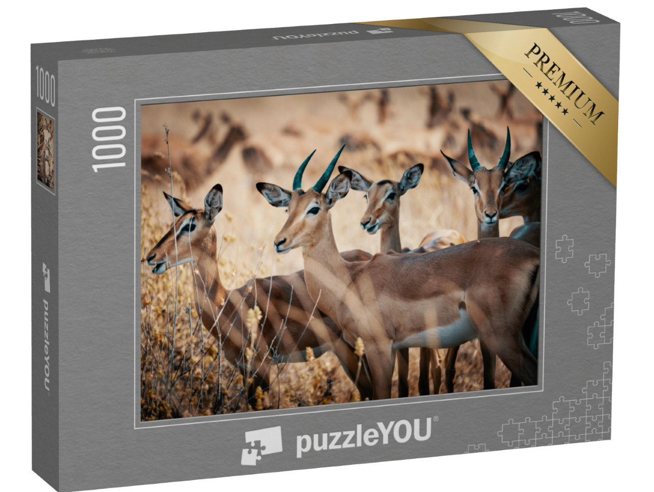 Puzzle 1000 pezzi „Un gruppo di antilopi impala nel Parco Nazionale Chobe, Botswana“