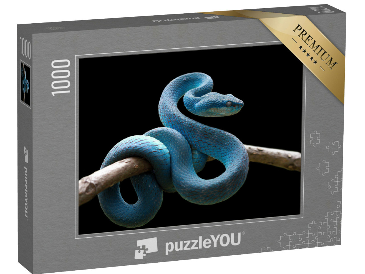 Puzzle 1000 pezzi „Serpente viperino blu su un ramo, Trimeresurus Insularis“