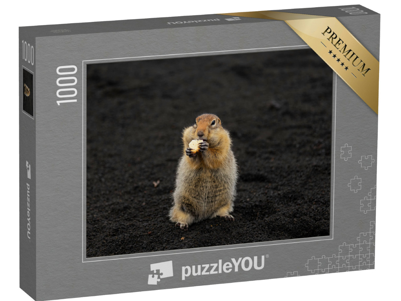 Puzzle 1000 pezzi „Uno scoiattolo di terra nella sabbia vulcanica“