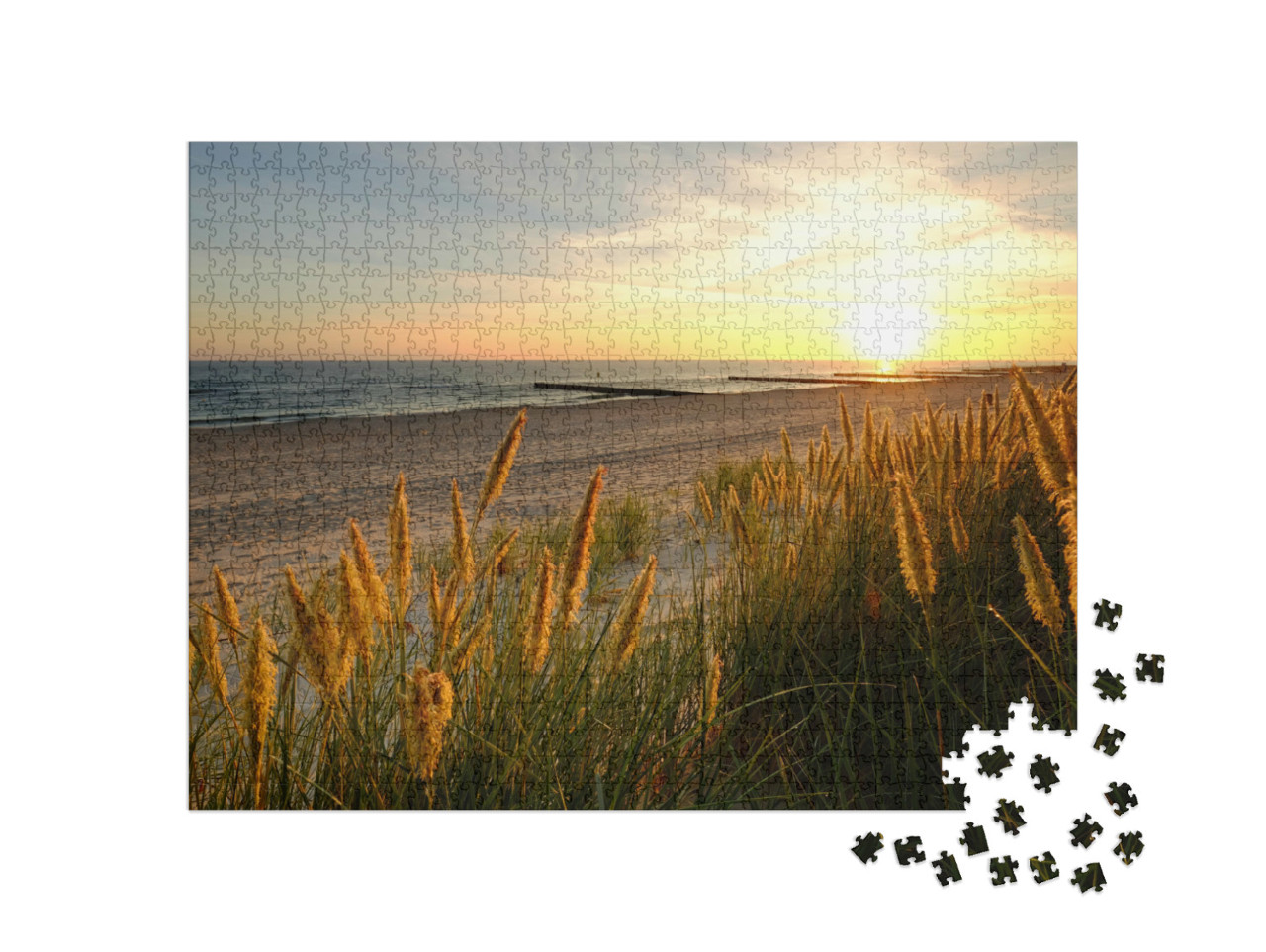 Puzzle 1000 pezzi „Mar Baltico, dune su una spiaggia sabbiosa, Kolobrzeg, Polonia“