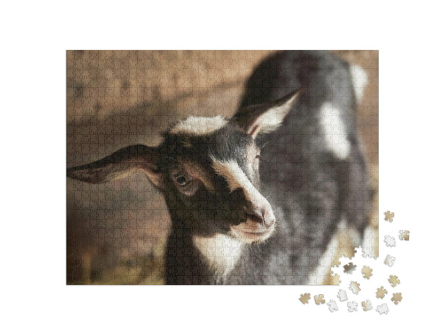 Puzzle 1000 pezzi „Capra bianca e nera nella stalla“