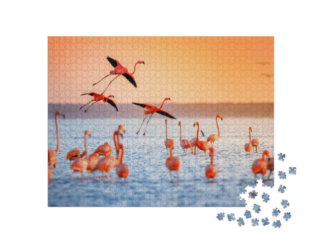 Puzzle 1000 pezzi „Fenicotteri rosa al tramonto“