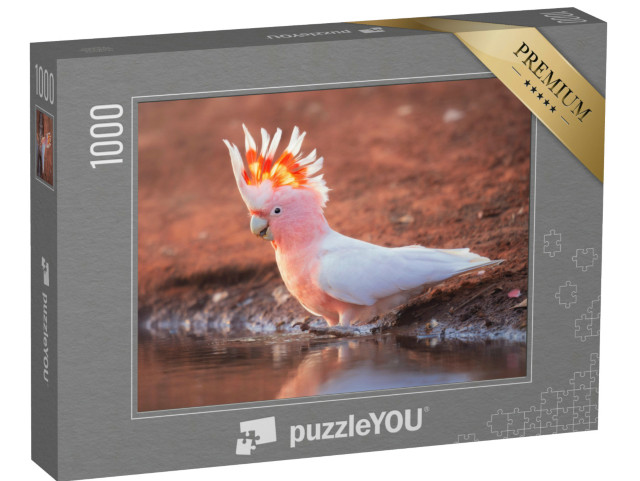 Puzzle 1000 pezzi „Cacatua rosa selvatico“