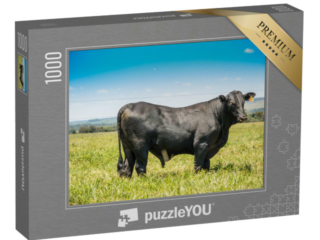 Puzzle 1000 pezzi „Bovini Angus in vista laterale“