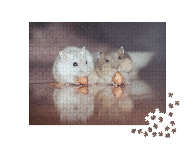 Puzzle 1000 pezzi „Due simpatici criceti russi sgranocchiano noci“