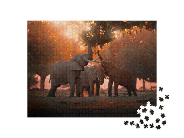 Puzzle 1000 pezzi „Alimentazione degli elefanti nel Parco Nazionale di Mana Pools, Zimbabwe“