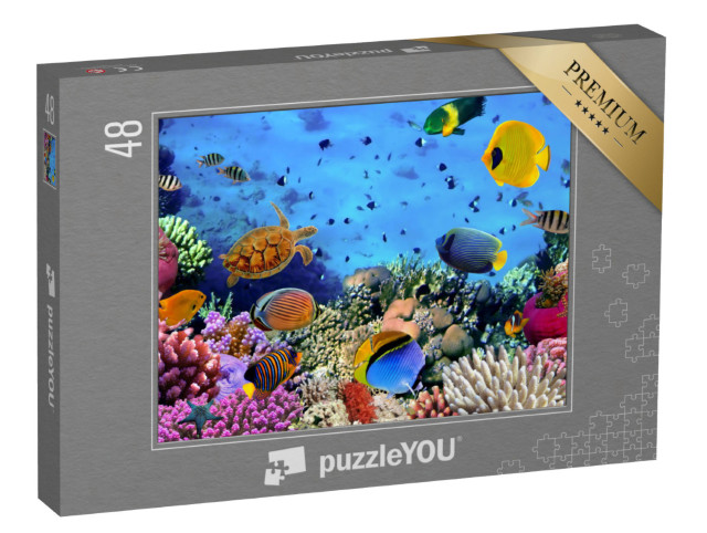 Puzzle 48 pezzi „Colonia di corallo nel Mar Rosso, Egitto“