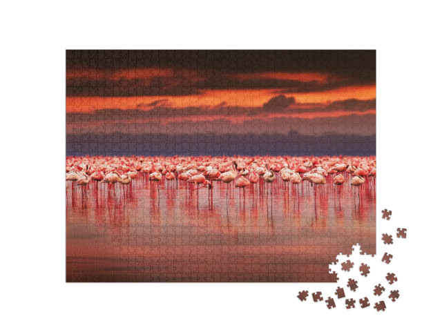 Puzzle 1000 pezzi „Spettacolare tramonto su un gruppo di fenicotteri, Kenya“