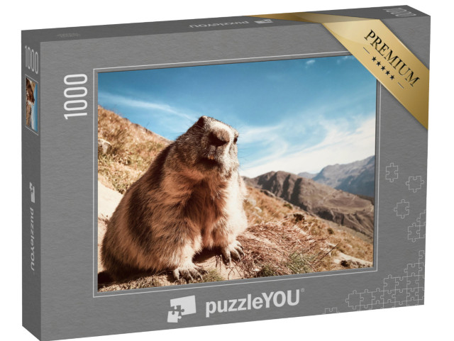 Puzzle 1000 pezzi „Marmotta con sguardo interrogativo“