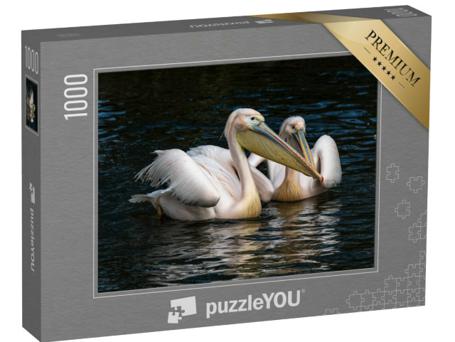 Puzzle 1000 pezzi „Il pellicano bianco, noto anche come pellicano rosa“