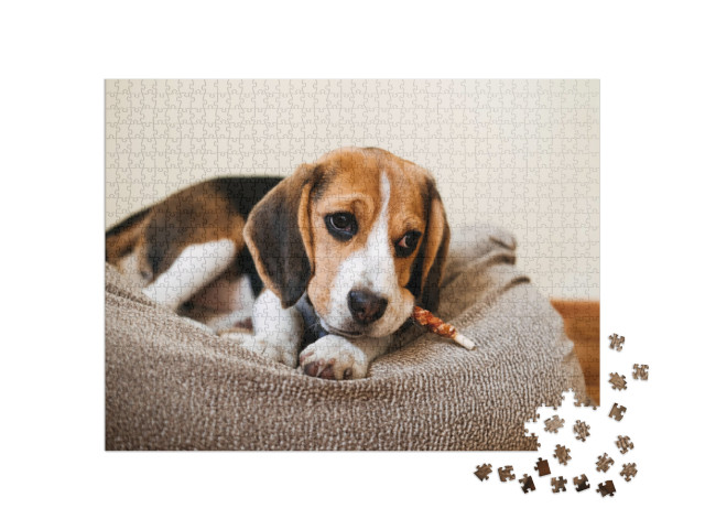 Puzzle 1000 pezzi „Un beagle con un dolcetto“