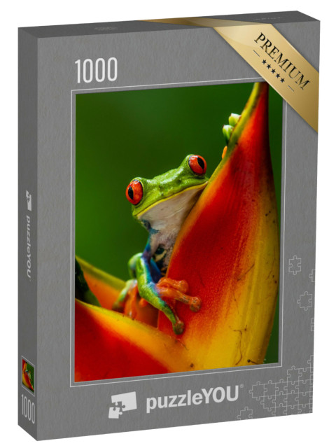 Puzzle 1000 pezzi „Rana arboricola dagli occhi rossi su un fiore tropicale“