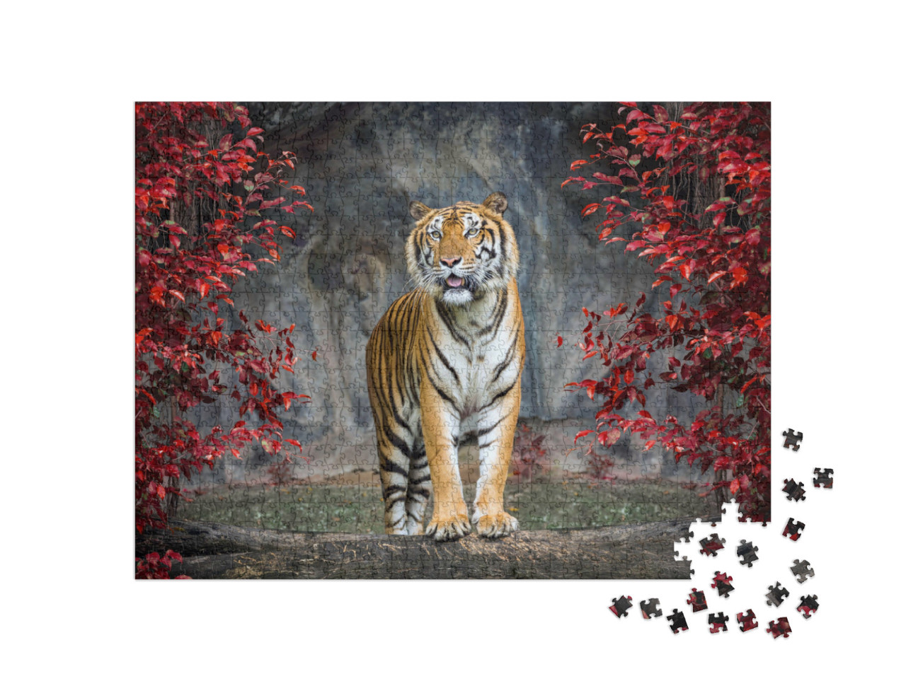 Puzzle 1000 pezzi „Ritratto di una tigre“