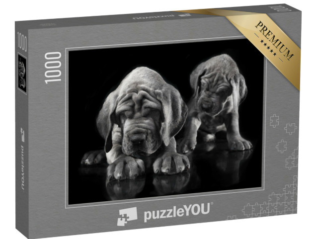 Puzzle 1000 pezzi „Alano: il cucciolo risveglia l'altro“
