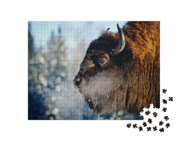 Puzzle 1000 pezzi „Bisonte in libertà“
