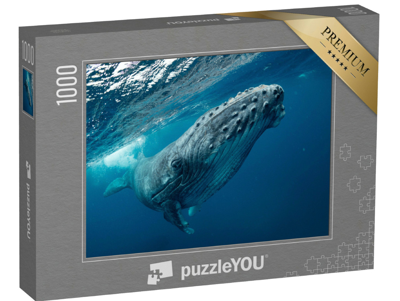 Puzzle 1000 pezzi „Una megattera che nuota nel mare“