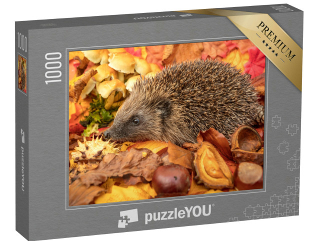 Puzzle 1000 pezzi „Ricci in autunno con castagne e foglie autunnali colorate“