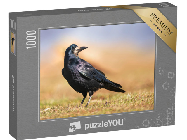 Puzzle 1000 pezzi „Piumaggio nero e lucente di una cornacchia“