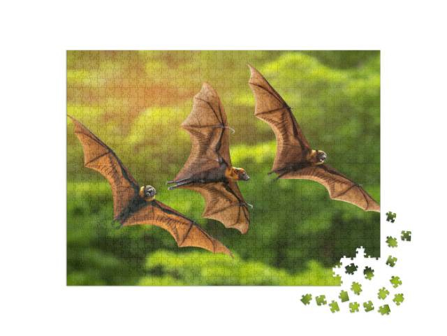 Puzzle 1000 pezzi „Tre pipistrelli volanti“