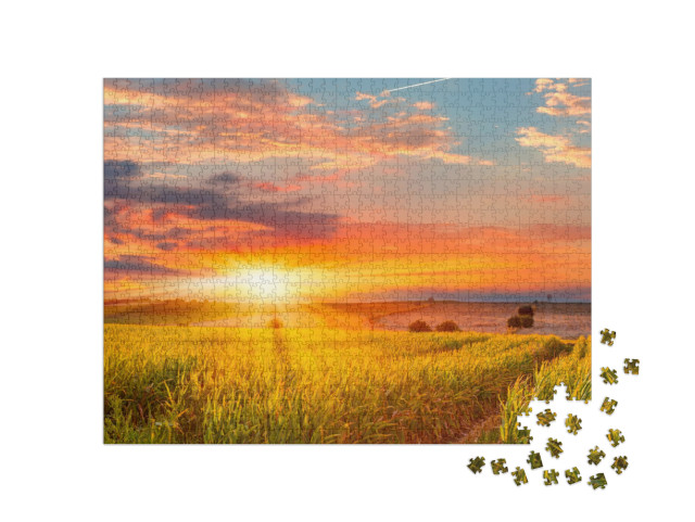 Puzzle 1000 pezzi „Alba su un campo di grano“