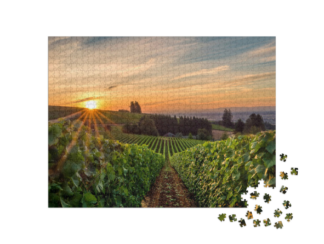 Puzzle 1000 pezzi „L'alba su un vigneto nella Willamette Valley“
