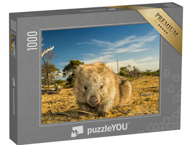Puzzle 1000 pezzi „Primo piano di un vombato, originario della Tasmania“