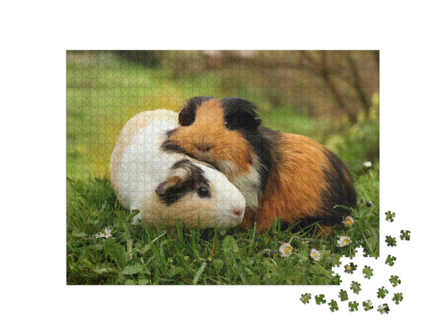 Puzzle 1000 pezzi „Amici della cavia“