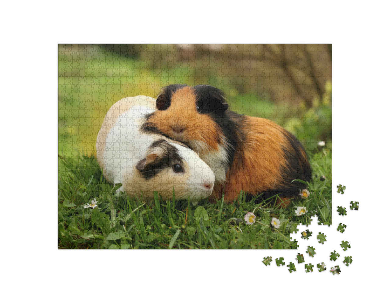 Puzzle 1000 pezzi „Amici della cavia“