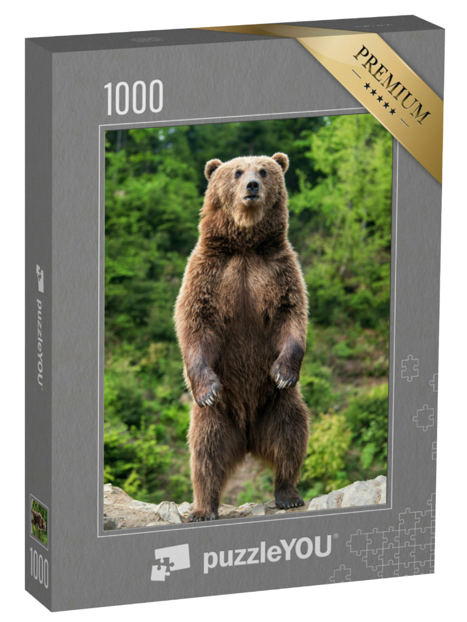 Puzzle 1000 pezzi „Un orso bruno in primavera“