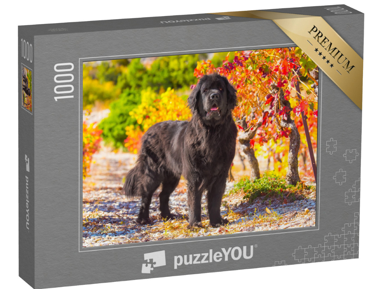 Puzzle 1000 pezzi „Terranova in un paesaggio autunnale“