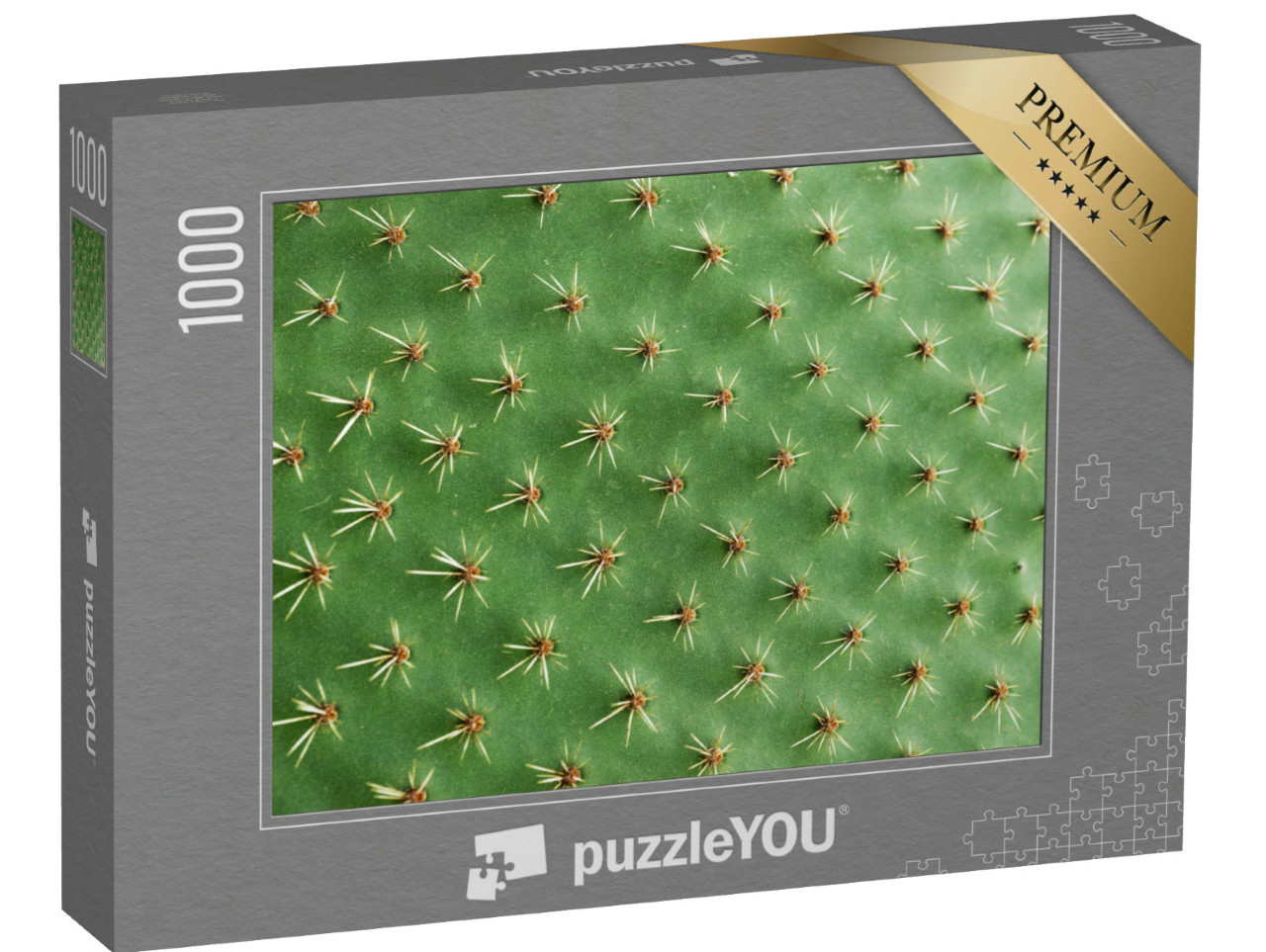 Puzzle 1000 pezzi „Primo piano degli aculei di un cactus“