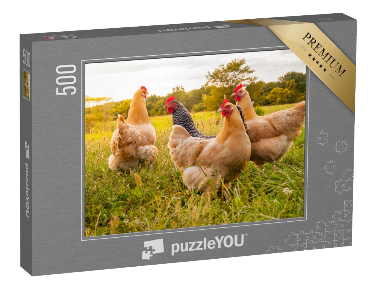 Puzzle 500 pezzi „Polli nel prato“