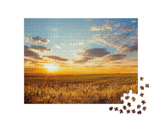Puzzle 1000 pezzi „Alba dorata su campi infiniti“