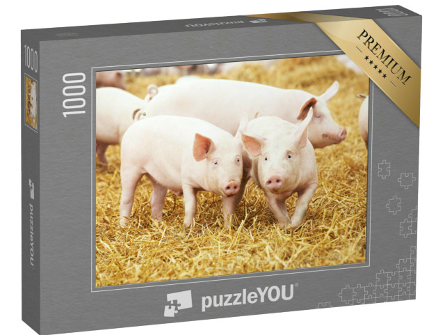 Puzzle 1000 pezzi „Suinetti su fieno e paglia“