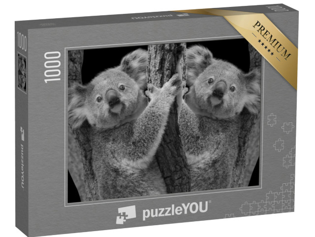 Puzzle 1000 pezzi „Due simpatici koala su un albero“