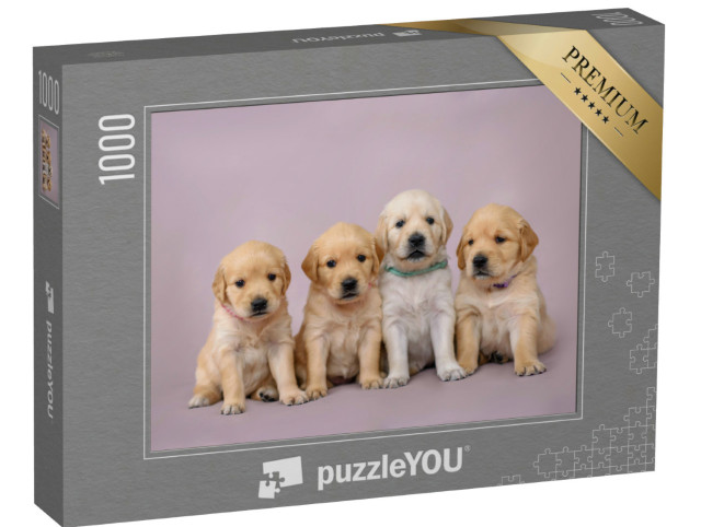 Puzzle 1000 pezzi „Quattro piccoli cuccioli di Golden Retrieve“