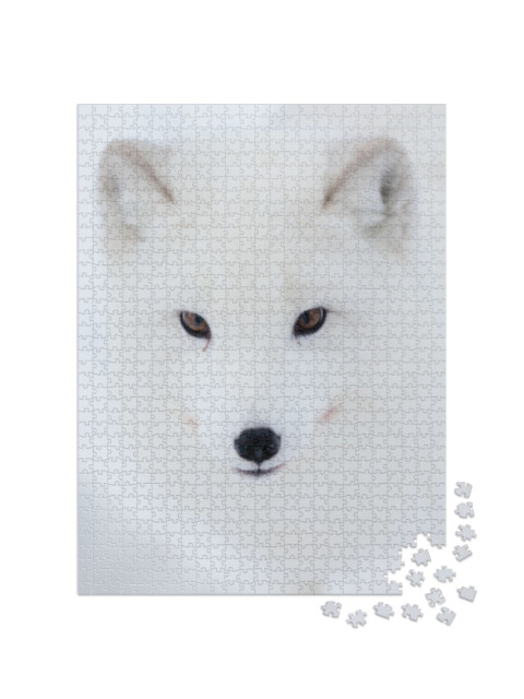 Puzzle 1000 pezzi „Lo sguardo di una volpe artica“