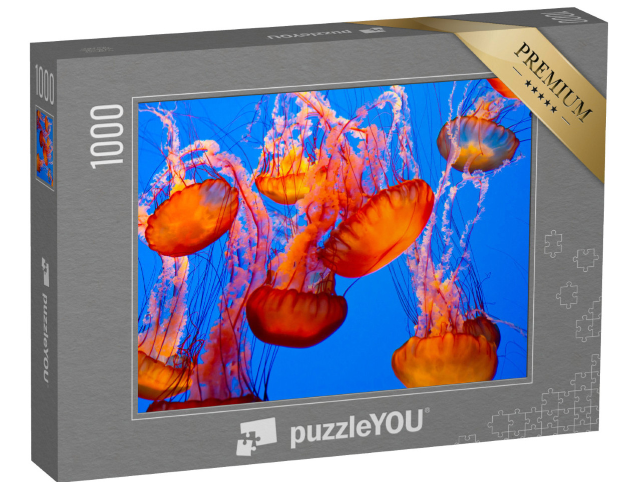 Puzzle 1000 pezzi „Spettacolare medusa arancione“