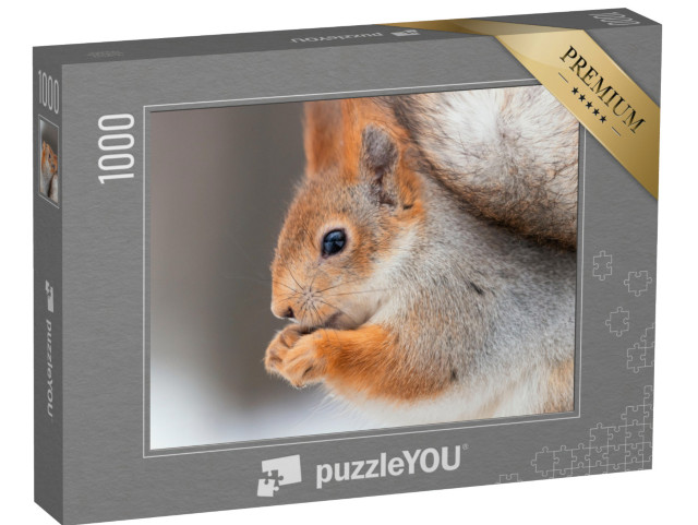Puzzle 1000 pezzi „Scoiattolo con noci“