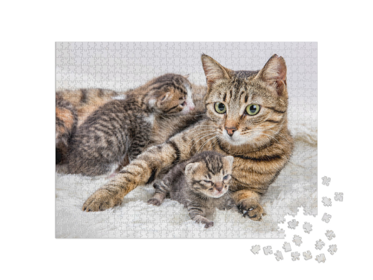 Puzzle 1000 pezzi „Madre gatta e gattino, gattino“