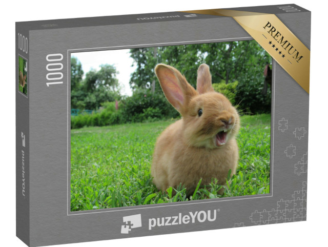 Puzzle 1000 pezzi „Piccolo coniglio che sbadiglia“